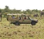 Game Drive