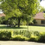 Welcome to  Terezina Guest House